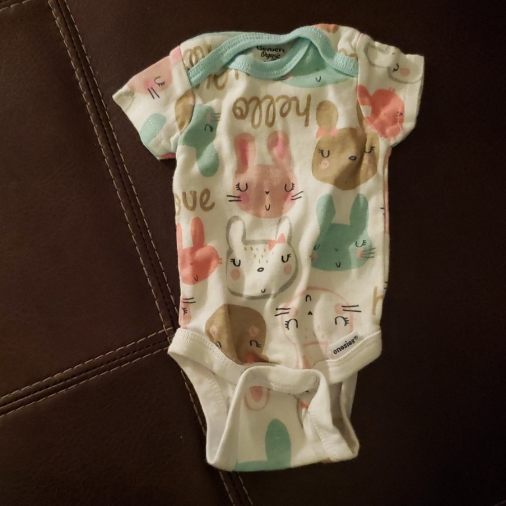 Bunny Onsie